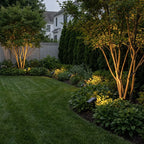 Beacon Solar Spot Lights Outdoor | Adjustable Aluminum Landscape Uplight for Trees and Gardens