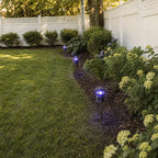 Nox Mosquito Trap Path Light | Purple LED Outdoor Garden Lantern, Black, Waterproof