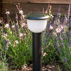 Calyx Modern Outdoor Path Light | Black Aluminum LED Landscape Light with Bowl Shade, Solar or Hardwired