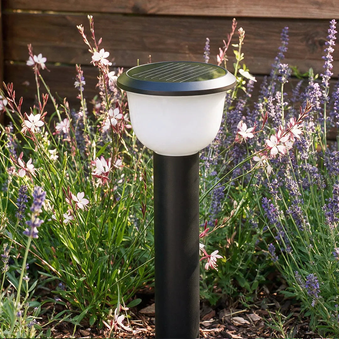 Calyx Modern Outdoor Path Light | Black Aluminum LED Landscape Light with Bowl Shade, Solar or Hardwired